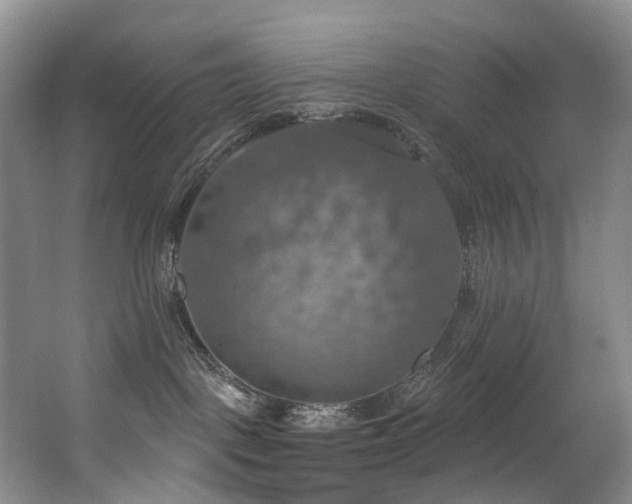 X0000063510093200601201450