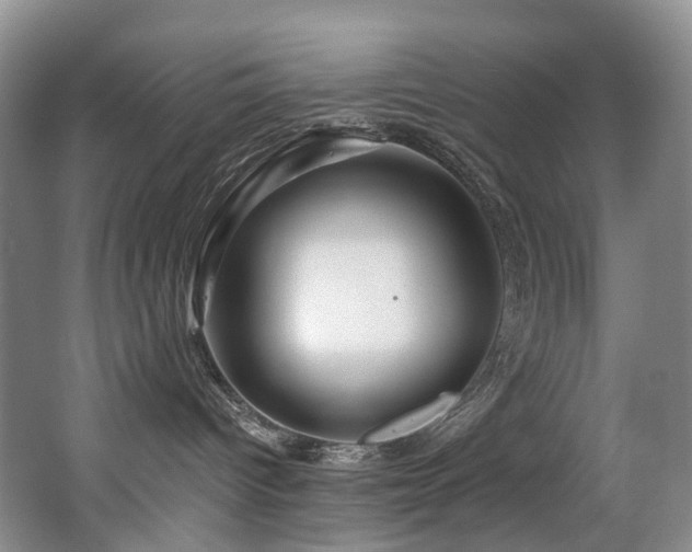 X0000063510096200601201450