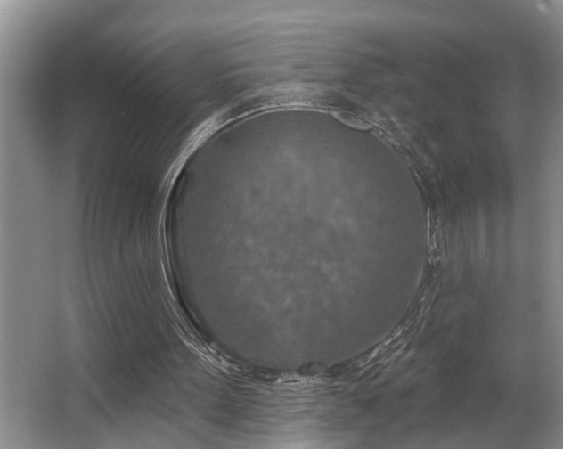 X0000063510099200601201449