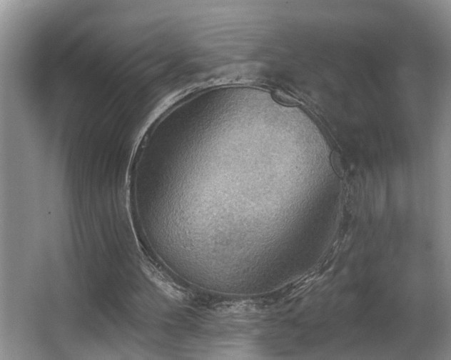 X0000063510100200601201449
