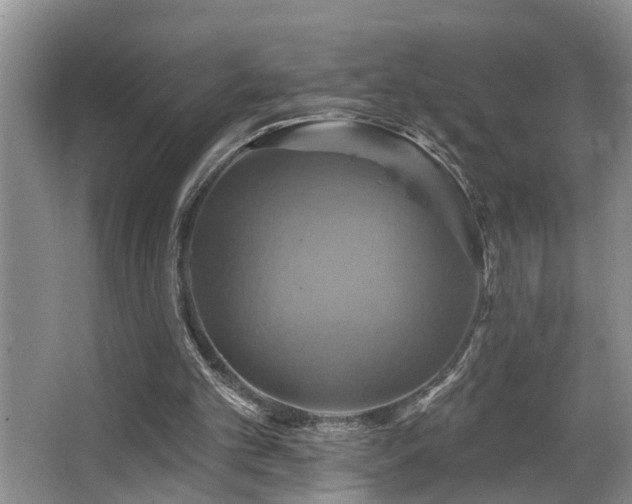 X0000063510101200601201449