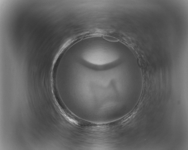 X0000063510102200601201449