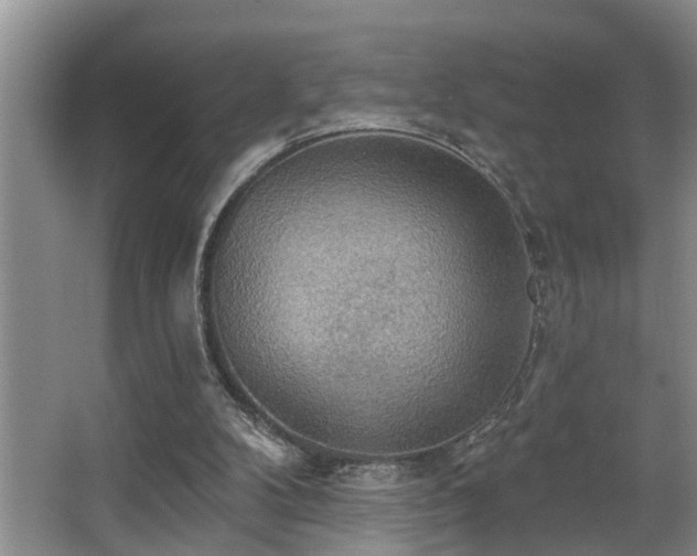 X0000063510104200601201449