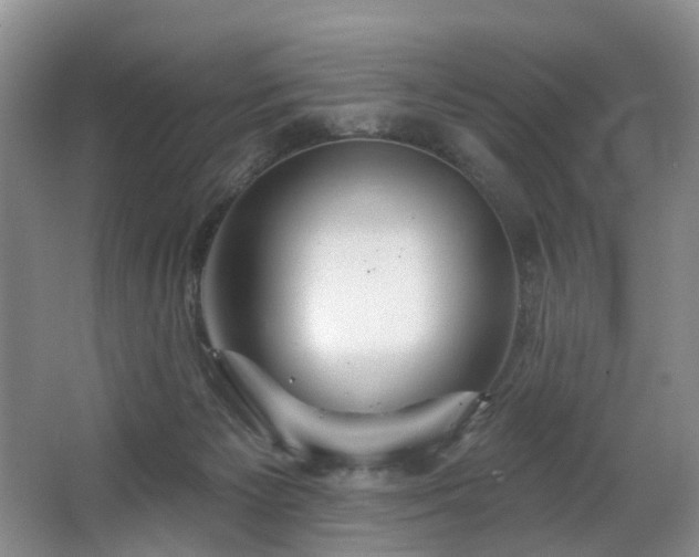 X0000063510125200601201449