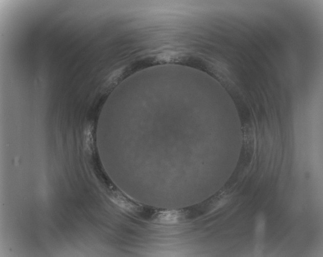 X0000063510127200601201449