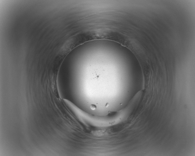 X0000063510129200601201449
