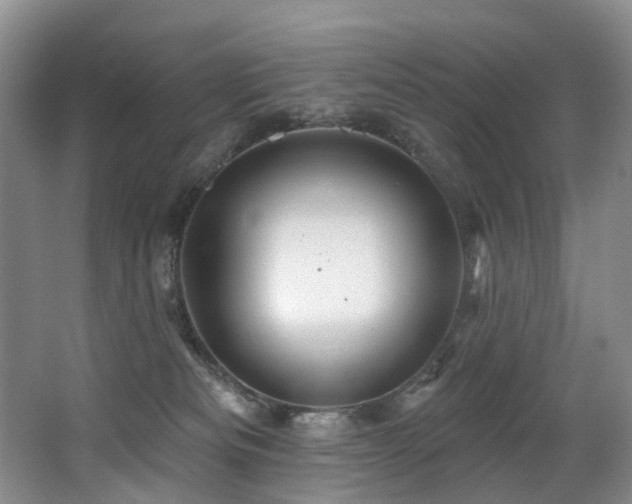 X0000063510133200601201449