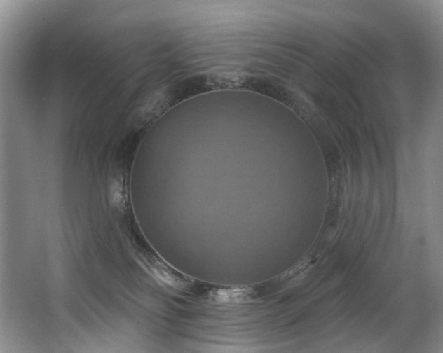 X0000063510134200601201449