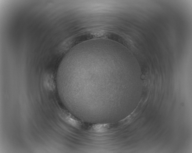 X0000063510136200601201449
