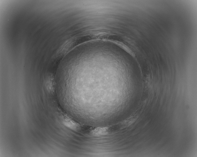 X0000063510138200601201449