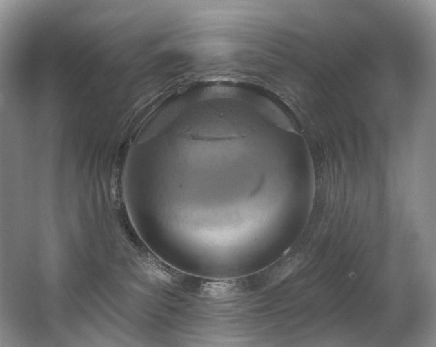 X0000063510139200601201449