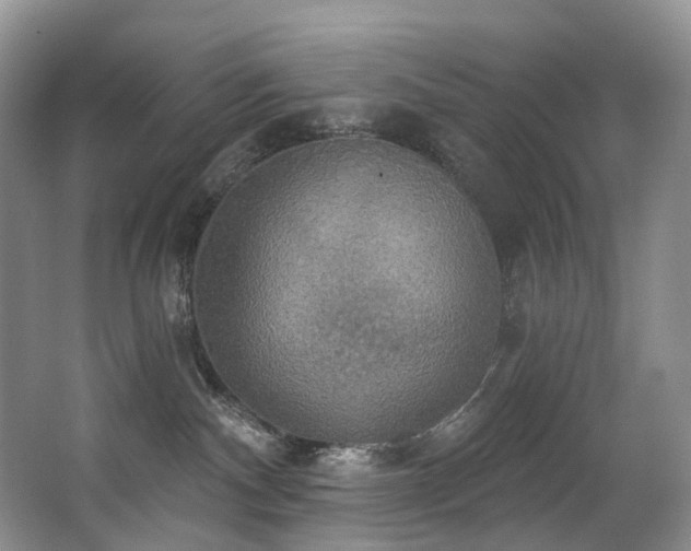 X0000063510140200601201449