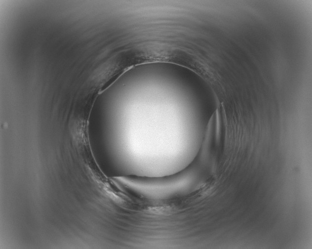 X0000063510141200601201448