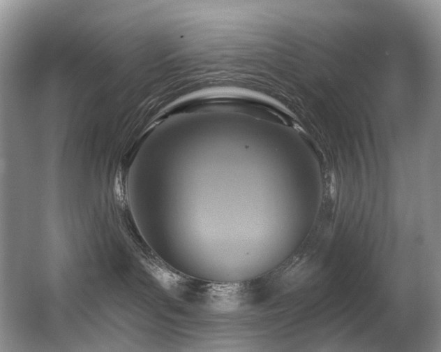 X0000063510143200601201448