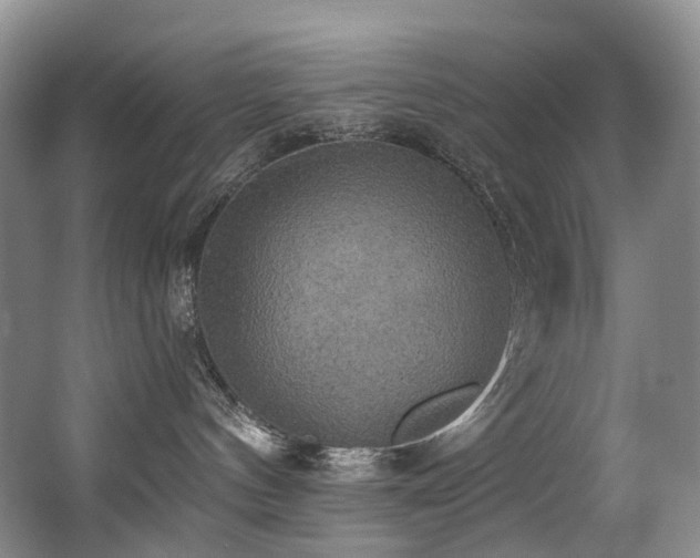 X0000063510144200601201448