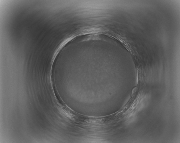 X0000063510147200601201448