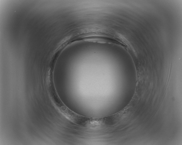 X0000063510163200601201448