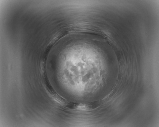 X0000063510171200601201448