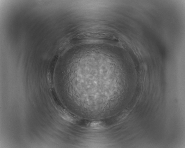 X0000063510173200601201448
