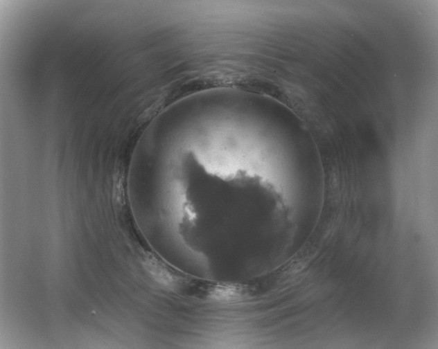 X0000063510177200601201448