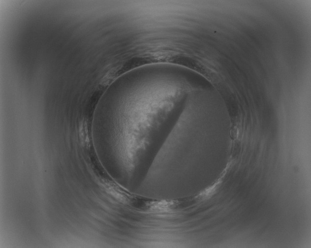 X0000063510182200601201448