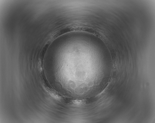 X0000063510187200601201448
