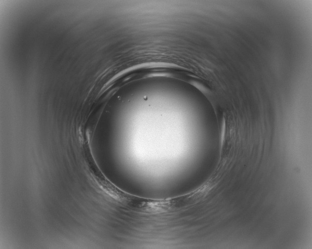 X0000063510188200601201448
