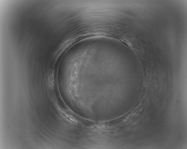 X0000063510194200601201448