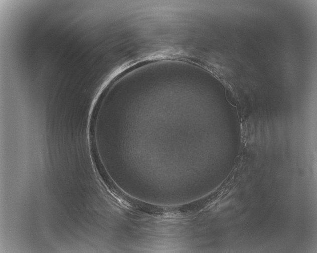X0000063510196200601201448