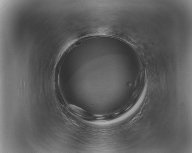 X0000063510200200601201447