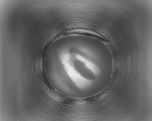 X0000063510206200601201447