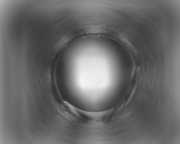 X0000063510207200601201447