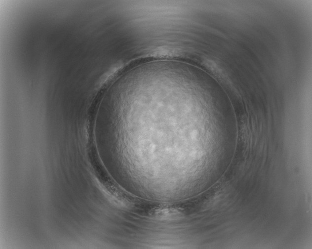 X0000063510208200601201447