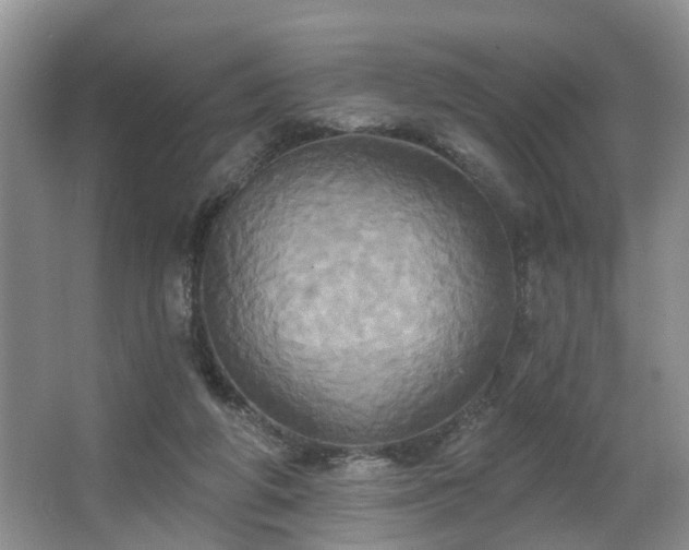 X0000063510210200601201447