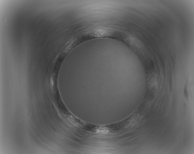 X0000063510214200601201447