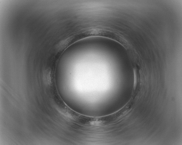 X0000063510216200601201447