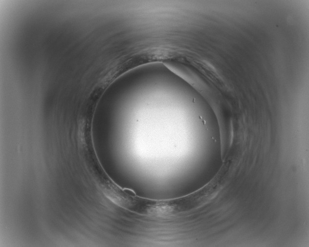 X0000063510217200601201447