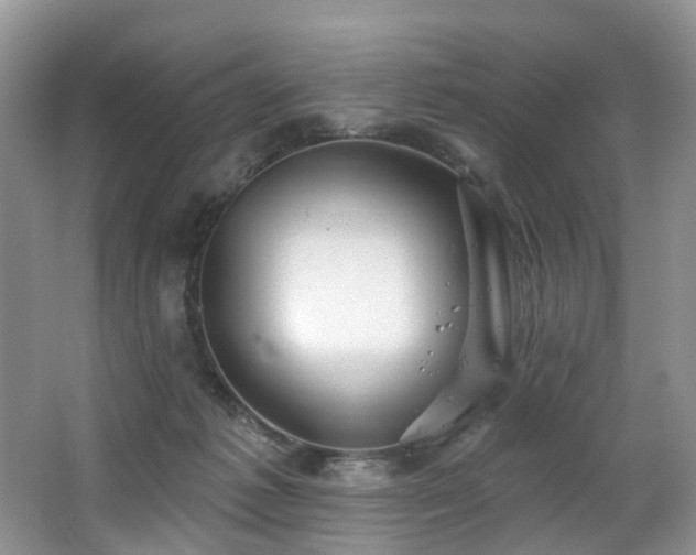 X0000063510221200601201447