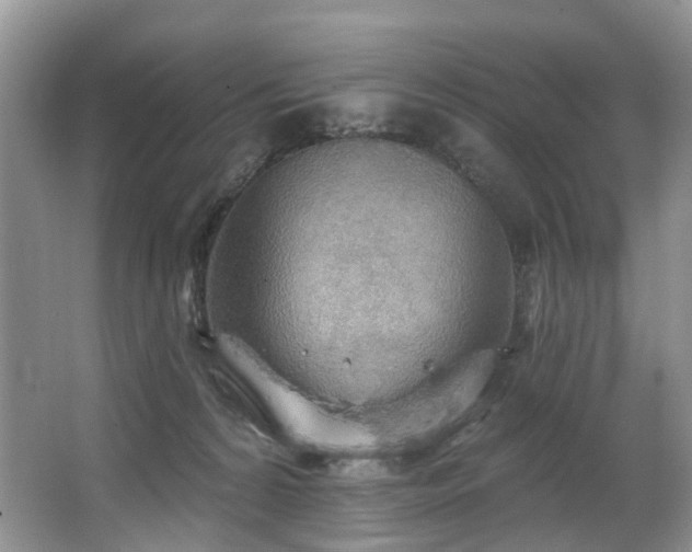X0000063510224200601201447