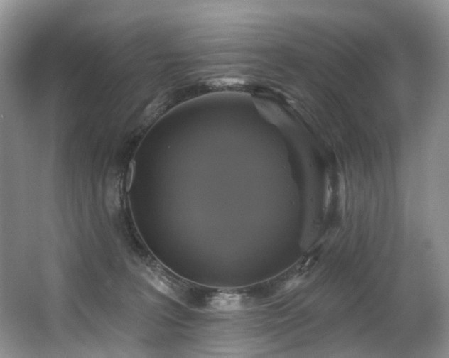 X0000063510227200601201447
