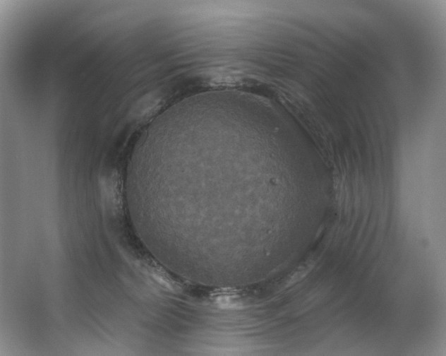 X0000063510228200601201447