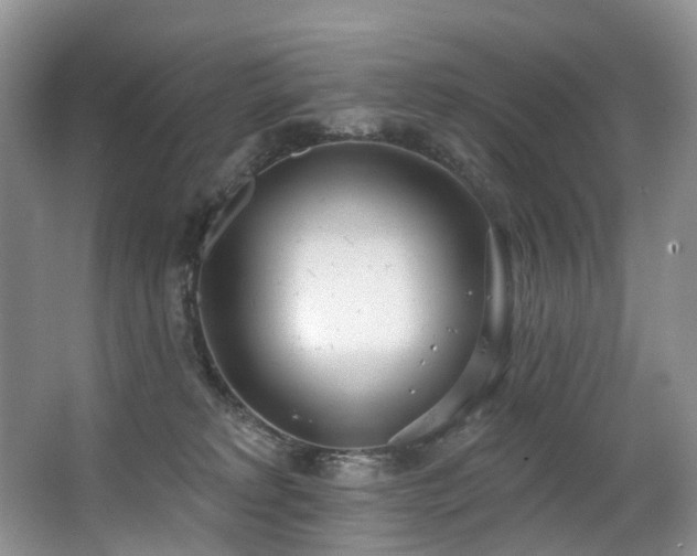 X0000063510229200601201447