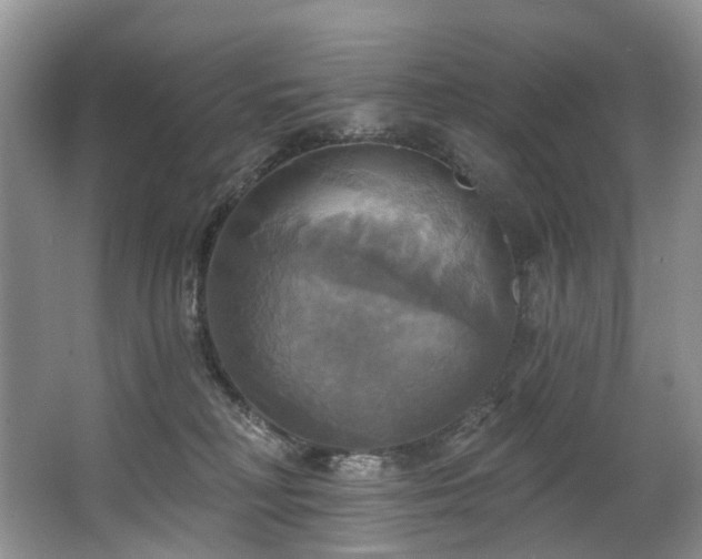 X0000063510230200601201447