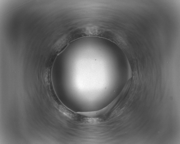 X0000063510233200601201447