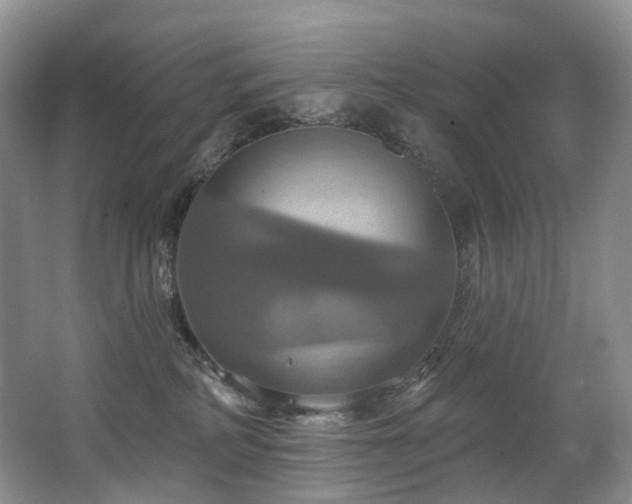 X0000063510234200601201447