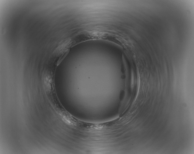 X0000063510235200601201447