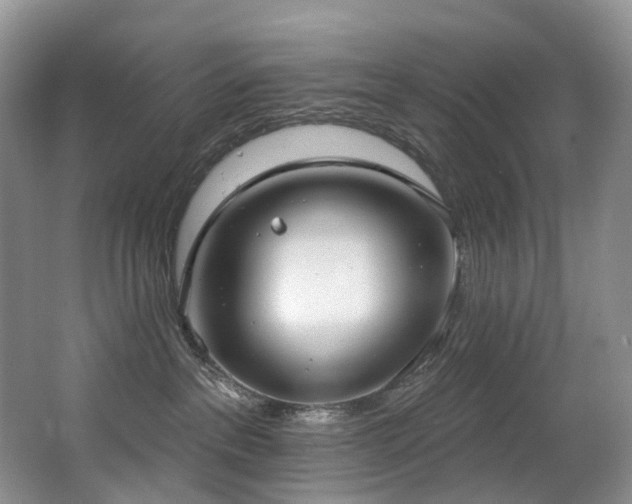 X0000063510237200601201447