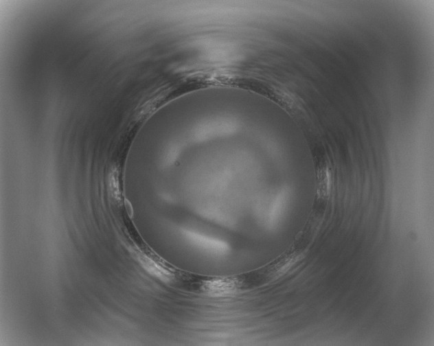 X0000063510238200601201447