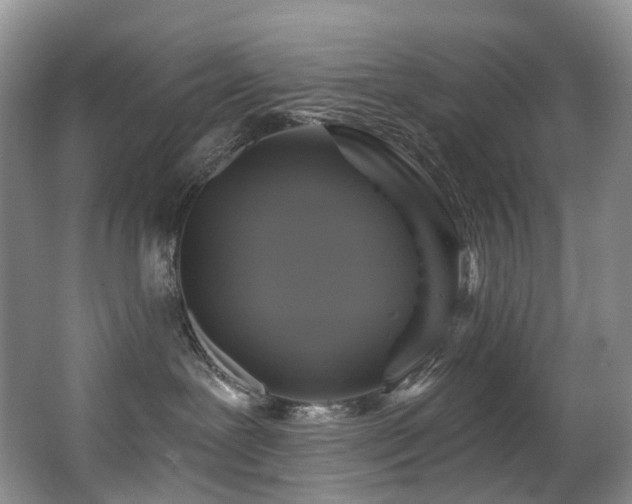X0000063510239200601201447