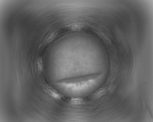 X0000063510240200601201447